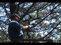 Tree Stand Archery Shooting 3d Range