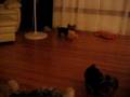 videos de Charlie, Lilly and Susie Playing