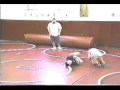 Sexual Vanilla Vs. The Ambiguously Gay Gurry (RussellMania)