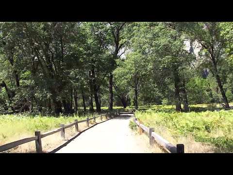 Sheety33 - Bike riding through Yosemite Valley during the early part of September, 2011. Filmed with a Sony HX5V by Sheety33.