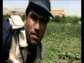 MaximsNewsNetwork: OPIUM: AFGHANISTAN UN DRUG SURVEY: UNODC
