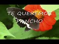 ABASOLO TAMPS. PANCHO EL CHOLO