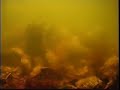 Excerpt from The Chesapeake Bay Foundation's documentary 