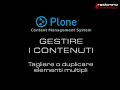 Manuale Plone 3 - 3.3 Tagliare e duplicare elementi multipli