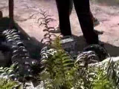 RC Crawler Thailand Comp II Super Class