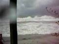 typhoon Halong- Subic Bay