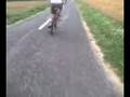 koos en rick uit fietsen deel IIII