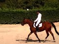 Adrien et Hagatha : dressage équestre à Grange Neuve pour le Centre équestre de Pollionnay