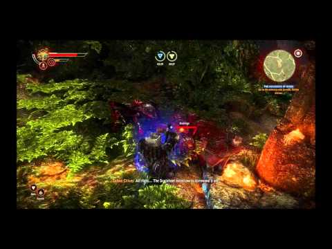 The Witcher 2 : Assassins of Kings