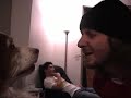 wii tennis dog wii tennis dog