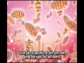 T7 - Sản phẩm giảm cân cho người có bệnh nhạy cảm