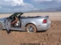 mustang
