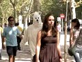 Oso Cambio Climático Aire Acondicionado