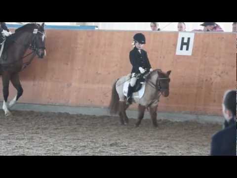 shetty - Kann ein kleines Shetty mit seiner ebenso kleinen Reiterin beim Dressurreiten mit den großen Ponys mithalten.? Ja , kann es . Das haben Lea und Turny beim Re...