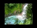 Destination Costa Rica Avec Formanature