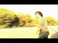Birdhouse Skateboarding Birdhouse Skateboarding