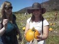Sept 27, 2009 Oak Glen Apple Picking Road Trip Adventure #5