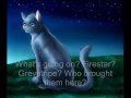 StarClan chat room StarClan chat room