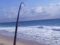 Shark Attack While Surf Fishing