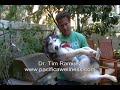 Best Diet | Cabbage Diet | Dr. Tim Ramirez