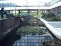 When jack fell into a river