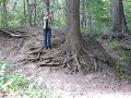 Tricia test tree rope