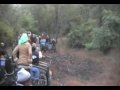 Bandhavgarh Tiger Video Crossing Road.mov