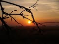 sounds of silence