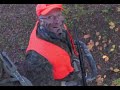 Nice buck rattled in on opening day of the 2008 muzzle loader season.