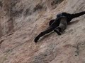 David Lama climb on Cornalba/Apache 8a David Lama climb on Cornalba/Apache 8a