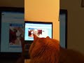 I liked a YouTube video -- Nacho has to approve his first YouTube video http://youtu.be/1_Z4d9jXDeE?a