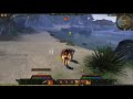 Age of Conan - Tech Beta Demonologist