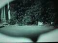  - MovieZen Video