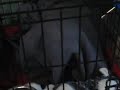 Wake up Penelope Video