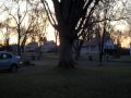 Sunrise on Terrace Drive