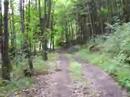 Driveway Driveway