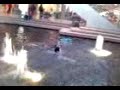 Dive into 1ft deep mall fountain