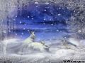 WESOŁYCH SWIĄT..Merry Christmas.......