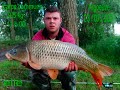 Carpiste Carpiste