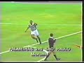 Palmeiras 2 x 0 S�o Paulo - Brasileiro de 93