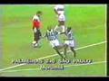 palmeiras-2-x-0-sao-paulo--semifinal-brasileiro-de-1993--golaco-de-cesar--sampaio