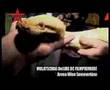 MULATSCHAG DeLuxe - Kinopremiere