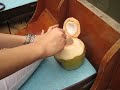 Time for Coconut Time for Coconut