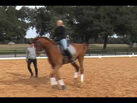 how to collect at the canter