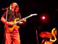 Adrian-Belew-Power-T