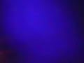 andres calamaro   costumbres argentinas