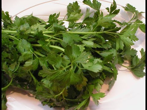 video-linktoworks-Parsley 101-Drying and Freezing Fresh Parsley