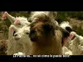 PUEBLOS ORIGINARIOS KOLLAS 2 LA TIERRA I