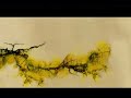PUEBLOS ORIGINARIOS KOLLAS 2 LA TIERRA I