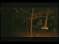 Zombie movie: this guy is insane